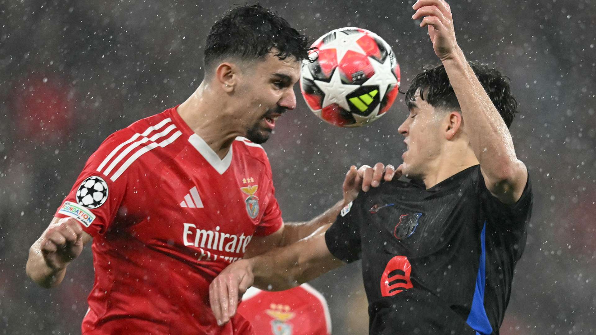 表现出的成 表现出的成