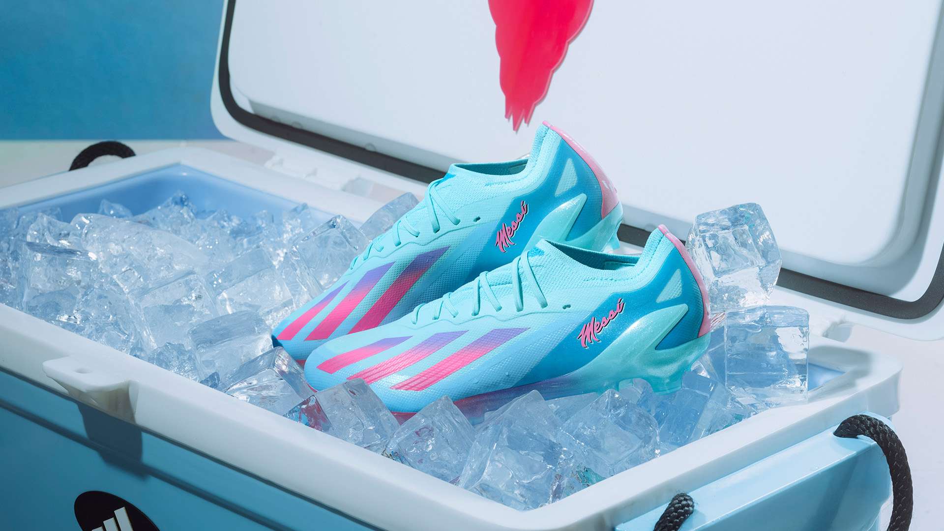 真知灼見 真知灼見