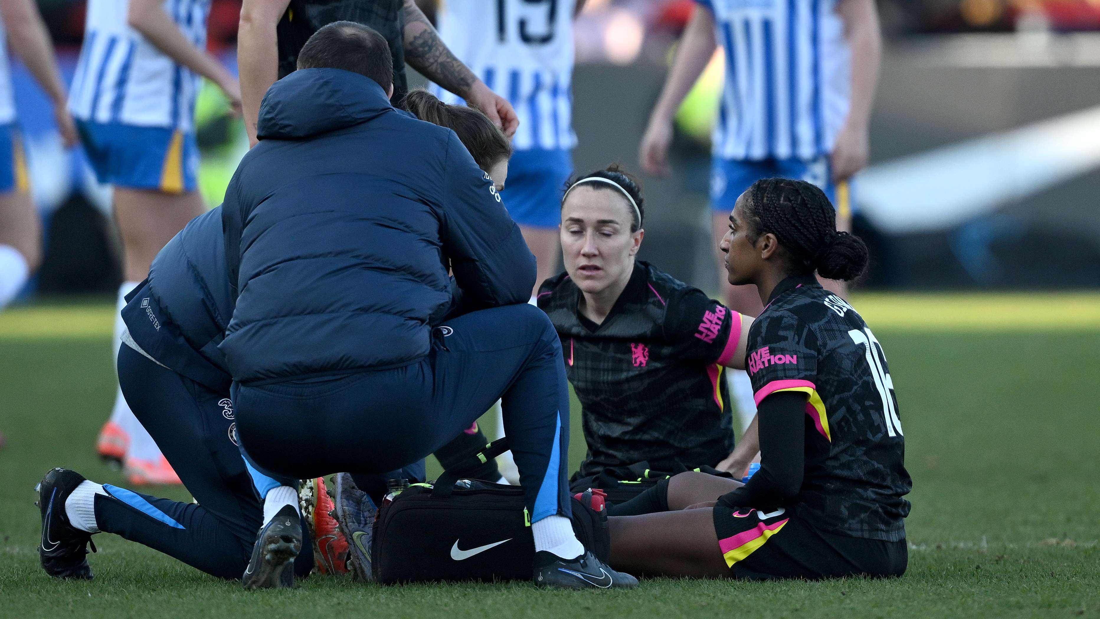 仅提升了学 仅提升了学